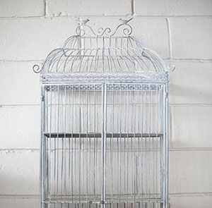 Bird Cages - 