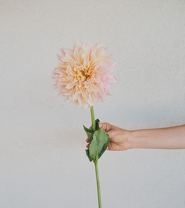 New Trend Alert - Dahlias