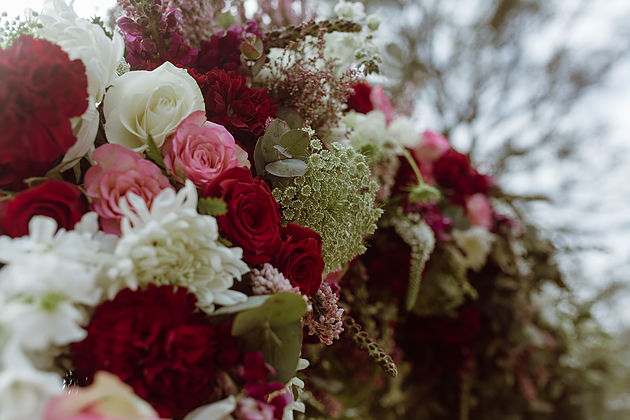 The beginning of our flower journey | Nikki & Greg | 2 September 2017