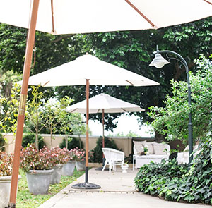 Umbrellas - 
