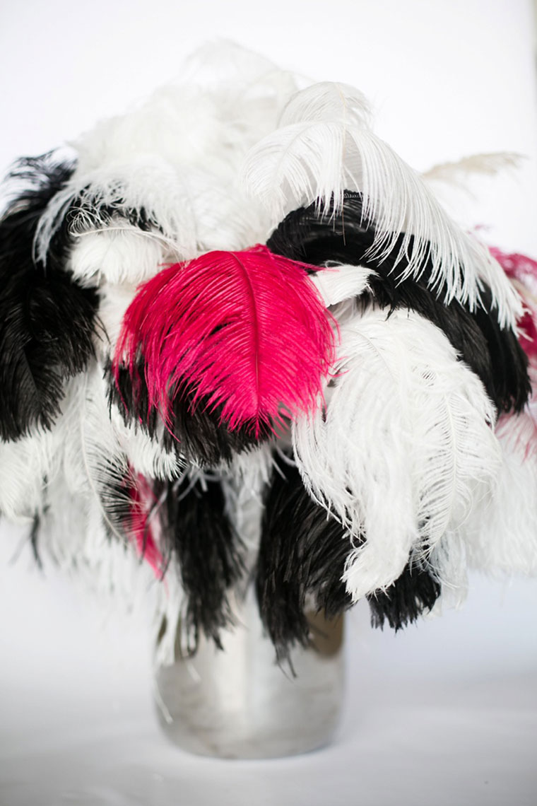 Ostrich Feathers Ostrich Feathers