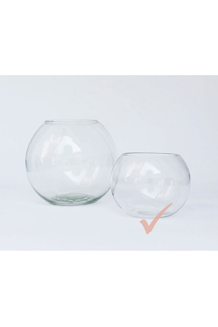 Small Fish Bowl Small Fish Bowl