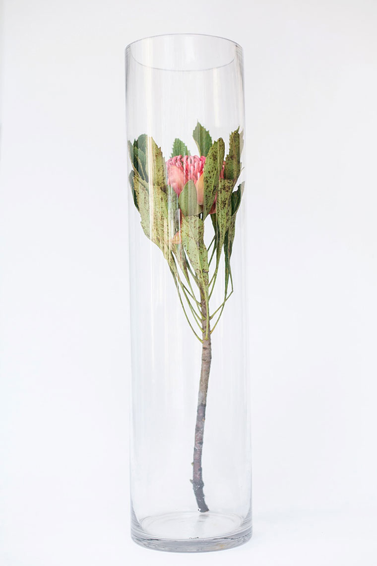 Tall Cylinder Vase